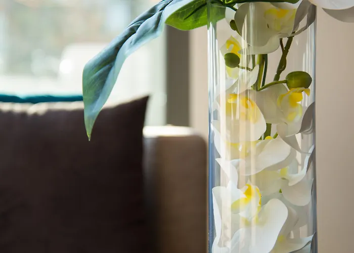 فندق Dc International